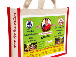 South Indian Bag